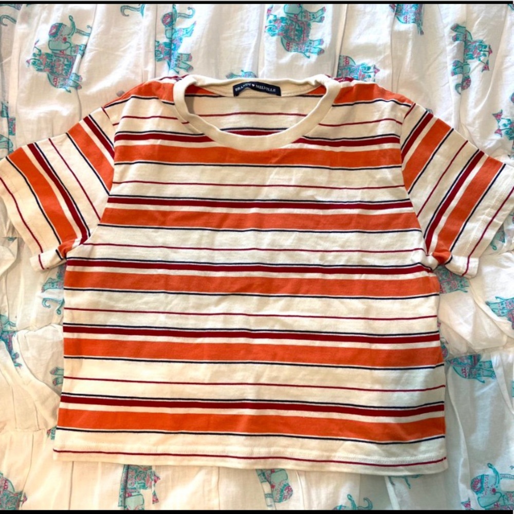 Pacsun-Brandy Melville Striped Crop Top